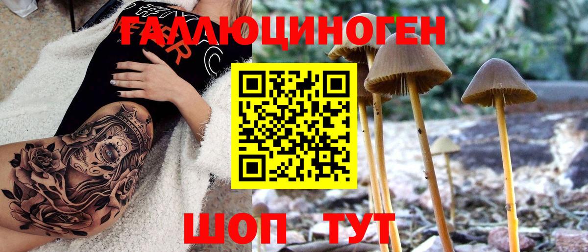 Псилоцибиновые грибы Psilocybine cubensis  Галлюциногенные грибы Magic Shrooms  Вход с VPN  Волгоград 